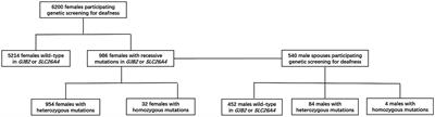 A cost-effectiveness analysis of pre-pregnancy genetic screening for deafness: an empirical study in China